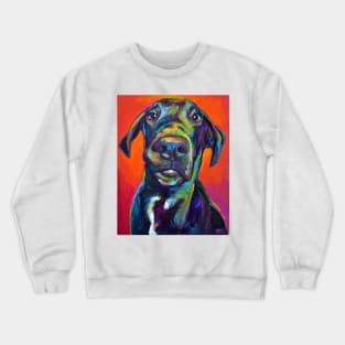 Hank, the Handsome Great Dane Crewneck Sweatshirt